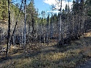 photo thumbnail #8