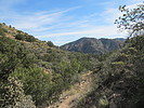 photo thumbnail #4