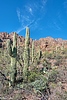 photo thumbnail #11