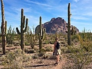 photo thumbnail #4