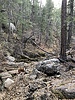 photo thumbnail #3