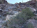 photo thumbnail #4