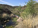 photo thumbnail #12