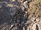 photo thumbnail #14