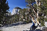 photo thumbnail #12