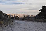 photo thumbnail #8