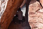 photo thumbnail #15