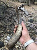 photo thumbnail #4