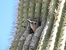 photo thumbnail #3