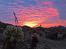 photo thumbnail #1