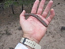 photo thumbnail #9