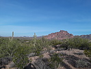 photo thumbnail #1