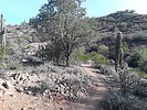 photo thumbnail #3