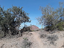 photo thumbnail #4