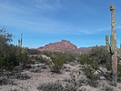 photo thumbnail #6