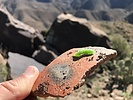 photo thumbnail #15