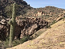 photo thumbnail #12