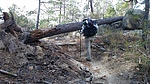 photo thumbnail #4