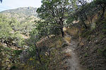 photo thumbnail #5