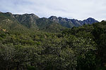 photo thumbnail #6