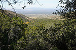 photo thumbnail #8