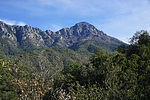 photo thumbnail #9