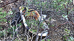 photo thumbnail #6