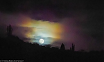 photo thumbnail #13