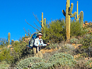 2018-11-23 :2: Tortilla Mountains - AZT #15 :: desertgirl