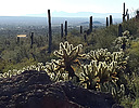 photo thumbnail #5