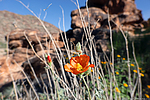 photo thumbnail #8