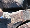 photo thumbnail #5