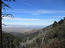 photo thumbnail #1