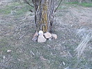 photo thumbnail #4