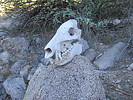 photo thumbnail #7