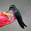 photo thumbnail #6