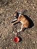 photo thumbnail #7