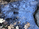 photo thumbnail #10