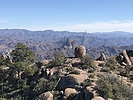 photo thumbnail #4