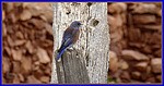 photo thumbnail #8
