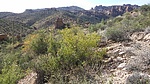 photo thumbnail #8