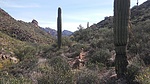 photo thumbnail #13