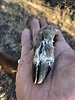 photo thumbnail #4