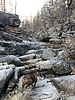 photo thumbnail #5