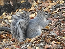 Featured Detail Photo