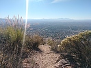recent photo