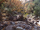 photo thumbnail #4