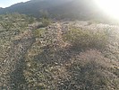 photo thumbnail #1