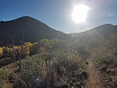 photo thumbnail #2