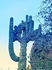 photo thumbnail #8